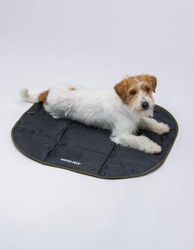 United Pets Lazy Dog Mat – Tragbares Hundebett für Hunde, faltbar, Matte für Restaurant und Reisen, leichte Hundematte, Schwarz/Grün United Pets Lazy Dog Mat – Tragbares Hundebett für Hunde, faltbar, Matte für Restaurant und Reisen, leichte Hundematte, Schwarz/Grün von United Pets