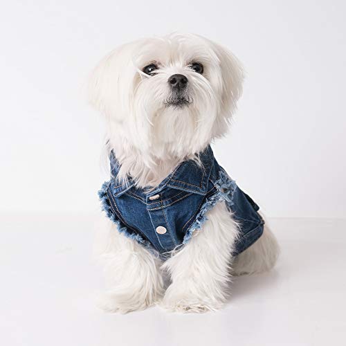United Pups Fashion Jeans Jacke für Hunde (Chill Pups, Jeansblau, Größe 2) von United Pups