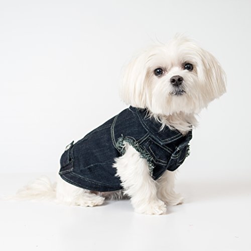 United Pups Modische Jeansjacke für Hunde (Chill Pups Marineblau, Größe 2) von United Pups