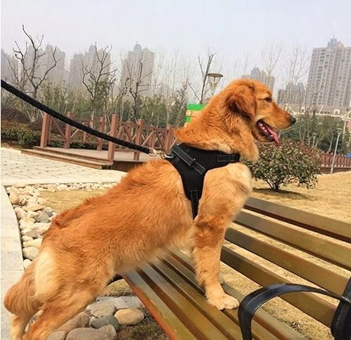 UNIZOO |Hundegeschirr mittelgroße Hunde | Dog Harness | Robustes Geschirr für Hunde | Atmungsaktives Material | Verstellbarer Gurt | Größe (Schwarz, XL) von UNIZOO