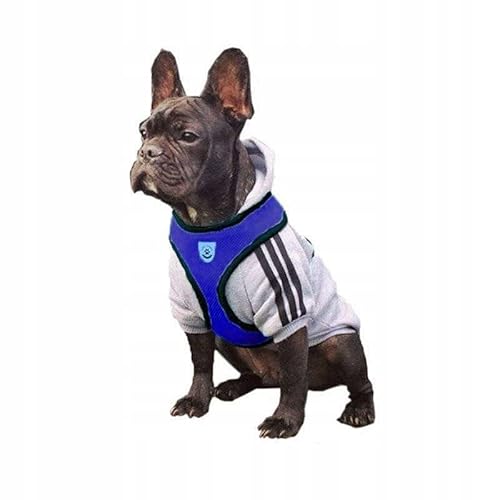 UNIZOO |Hundegeschirr mittelgroße Hunde | Dog Harness | Robustes Geschirr für Hunde | Atmungsaktives Material | Verstellbarer Gurt | Größe (Blau, L) von UNIZOO