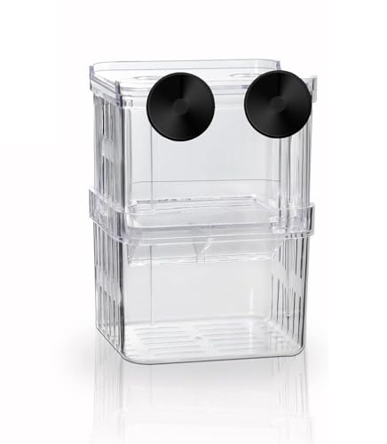 Aquarium Zuchtbox, Fischer Ableichbecken, Aquarien Aufzuchtbehälter, Garnelen Aufzuchtbecken, Aquarien Aufzuchtbehälter mit Saugnäpfen für Garnelen, Kleine Fische, Babyfische, Guppys Aquarium Zuchtbox, Fischer Ableichbecken, Aquarien Aufzuchtbehälter, Garnelen Aufzuchtbecken, Aquarien Aufzuchtbehälter mit Saugnäpfen für Garnelen, Kleine Fische, Babyfische, Guppys von Unpoten