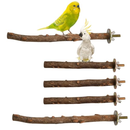 Sitzstangen Vögel, 5 Stück Vogelstange aus Holz, Sitzstangen für Vögel Wie Wellensittich, Kanarienvogel, Agaporniden Naturholzstangen für Wellensittich, Kanarienvogel, Vogelzubehör im Vogelkäfig Sitzstangen Vögel, 5 Stück Vogelstange aus Holz, Sitzstangen für Vögel Wie Wellensittich, Kanarienvogel, Agaporniden Naturholzstangen für Wellensittich, Kanarienvogel, Vogelzubehör im Vogelkäfig von Unpoten
