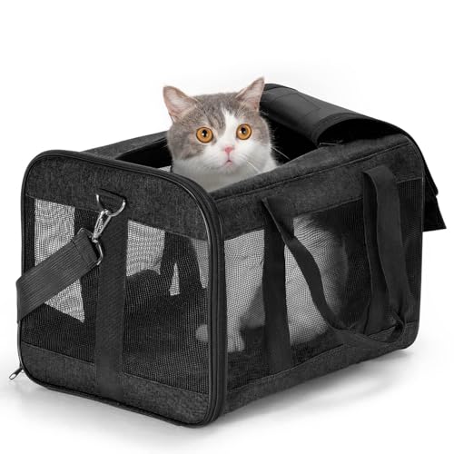 Transporttasche Katze, Katzenboxe Flugzeugtauglich, Weichseitige Katzentransporttasche mit Innenleine, Faltbar Flugtasche für Katze, für kleine bis mittelgroße Katzen und Welpen bis 6 kg, Schwarz/M Transporttasche Katze, Katzenboxe Flugzeugtauglich, Weichseitige Katzentransporttasche mit Innenleine, Faltbar Flugtasche für Katze, für kleine bis mittelgroße Katzen und Welpen bis 6 kg, Schwarz/M von Unpoten