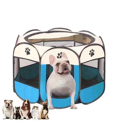 Welpenauslauf Faltbar, Welpenlaufstall für Drinnen, Laufstall Hund Pop-Up, Tragbarer Haustier Hundezaun, Hundeauslauf für Innen Hasen Katzen, für Katzen, Hunde, Kaninchen 73 x 73 x 43 cm (Blau Weiß) Welpenauslauf Faltbar, Welpenlaufstall für Drinnen, Laufstall Hund Pop-Up, Tragbarer Haustier Hundezaun, Hundeauslauf für Innen Hasen Katzen, für Katzen, Hunde, Kaninchen 73 x 73 x 43 cm (Blau Weiß) von Unpoten