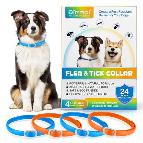 Hundehalsband, 4-teiliges Hundehalsband mit Minze, Hundehalsband, wasserdicht und verstellbar, 24 Monate, Ca-RN-e Hundehalsbänder, Blau und Orange Hundehalsband, 4-teiliges Hundehalsband mit Minze, Hundehalsband, wasserdicht und verstellbar, 24 Monate, Ca-RN-e Hundehalsbänder, Blau und Orange von Uocasi
