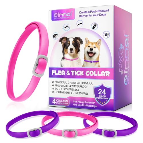 Hundehalsband, 4-teiliges Hundehalsband mit Minze, Hundehalsband, wasserdicht und verstellbar, für 24 Monate, Ca-RN-e Hundehalsbänder, Violett und Rose Hundehalsband, 4-teiliges Hundehalsband mit Minze, Hundehalsband, wasserdicht und verstellbar, für 24 Monate, Ca-RN-e Hundehalsbänder, Violett und Rose von Uocasi