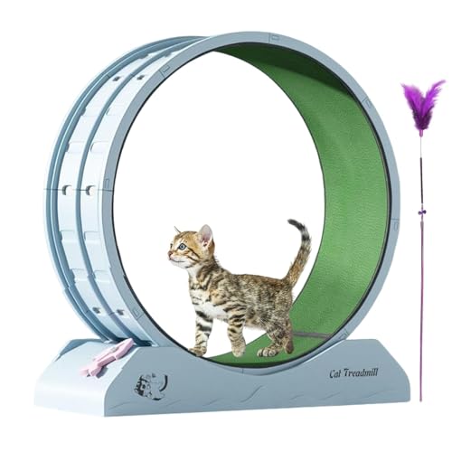 Cat Exercise Wheel, Quiet Workout Equipment for Kitten, Large Cat Wheel Exerciser for Indoors, Safety Treadmill with Teaser, 80.01x33.4x85.98cm, Home Gym von Uonguon