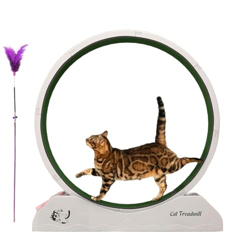 Cat Exercise Wheel, Quiet Workout Equipment for Kitten, Large Cat Wheel Exerciser for Indoors, Safety Treadmill with Teaser, 80.01x33.4x85.98cm, Home Gym Cat Exercise Wheel, Quiet Workout Equipment for Kitten, Large Cat Wheel Exerciser for Indoors, Safety Treadmill with Teaser, 80.01x33.4x85.98cm, Home Gym von Uonguon