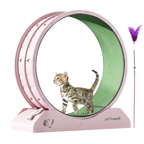 Cat Exercise Wheel, Quiet Workout Equipment for Kitten, Large Cat Wheel Exerciser for Indoors, Safety Treadmill with Teaser, 80.01x33.4x85.98cm, Home Gym von Uonguon