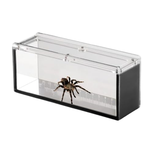 Fish Breeding Box, Acrylic Fish Container, Watching Case with Scale, Clear Aquatic Breeder Box, Isolation Tank, 6.5x2.76x1.97in, Ideal for Crabs, Snails, Spider, Black/Yellow/Green Fish Breeding Box, Acrylic Fish Container, Watching Case with Scale, Clear Aquatic Breeder Box, Isolation Tank, 6.5x2.76x1.97in, Ideal for Crabs, Snails, Spider, Black/Yellow/Green von Uonguon