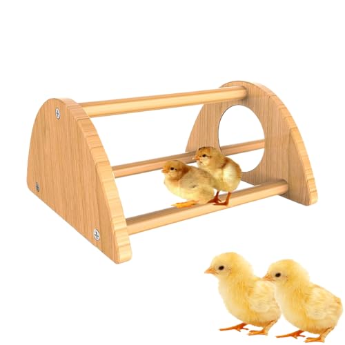 Roosting Bars for Chicks - Chicken Training Perch,Interactive Wood Chicken Roosting Bar with Mirror, Rooster Training Toy for Coop von Uonguon