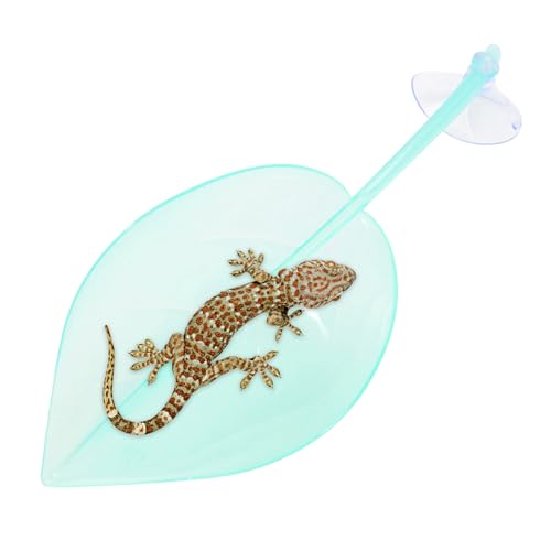 Turtle Leaf Basking, Resting Terrace, Suction Cups Tank Accessories, Leaf Shape Decor Usage for Dwarf Frogs, Leopard Gecko, Toads, Amphibian Habitat, Aquariums Turtle Leaf Basking, Resting Terrace, Suction Cups Tank Accessories, Leaf Shape Decor Usage for Dwarf Frogs, Leopard Gecko, Toads, Amphibian Habitat, Aquariums von Uonguon