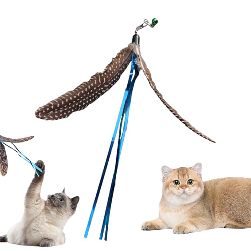 Uonguon Feder Spielzeug Für Katzen, Interaktives Katzenangel Spiel, Natürlicher Jagdspaß Mit Wechselkopf Für Unterhaltung von Uonguon
