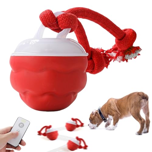 Uonguon Interactive, Dog Ball, 3.94x2.95x2.95 Inches Chasing Toy, Automatic Turning, Quiet, Durable Chew Material, Exercise and Training for Puppies on Grassland, Park, Beach Uonguon Interactive, Dog Ball, 3.94x2.95x2.95 Inches Chasing Toy, Automatic Turning, Quiet, Durable Chew Material, Exercise and Training for Puppies on Grassland, Park, Beach von Uonguon