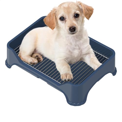 Uoqpty Welpen-Töpfchen-Tablett – Edelstahl-Mesh-Hundetöpfchentraining, Hundetoilette, Anti-Stopp-Pad, tragbares Töpfchentablett mit Zaun für Welpen und kleine Hunde Uoqpty Welpen-Töpfchen-Tablett – Edelstahl-Mesh-Hundetöpfchentraining, Hundetoilette, Anti-Stopp-Pad, tragbares Töpfchentablett mit Zaun für Welpen und kleine Hunde von Uoqpty