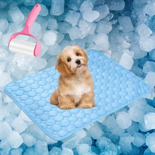 Pfotenfrost Hund Kühlmatte, Pfotenchillrm Dieinnovativekuhlmatte Für Hunde, Nordseepfote Kühlmatte Für Katzen, Sommer Rutschfest Selbstkühlende Hundematte Für Zuhause, Auto (Blau, XS(40*30cm)) von Uornwz