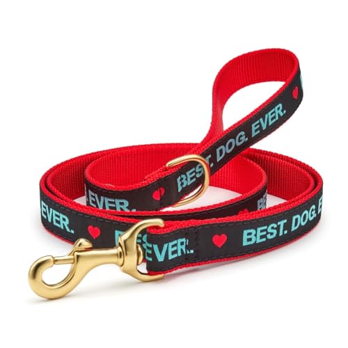 Best Dog Ever Lead 5 Large (1) Hundeleine von Up Country