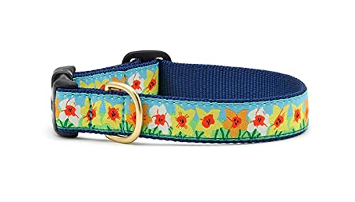 Daffodil Collar M von Up Country