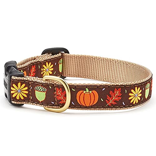 Harvest Time Collar Hundehalsband XS von Up Country