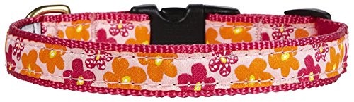 Up Country FLO-C-M Flower Power Hundehalsband, Breit 1 inch, M von Up Country