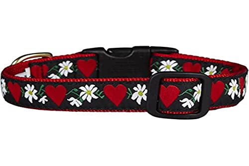 Up Country HFL-C-XL Hearts and Flowers Hundehalsband, Breit 1 inch, XL von Up Country