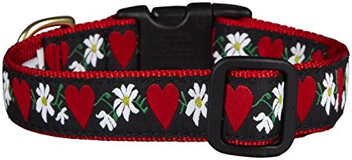 Up Country HFL-C-XS Hearts and Flowers Hundehalsband, Schmal 5/8 inch, XS von Up Country