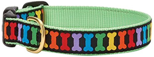 Up Country RAI-C-XS Rainbones Hundehalsband, Schmal 5/8", XS Up Country RAI-C-XS Rainbones Hundehalsband, Schmal 5/8", XS von Up Country