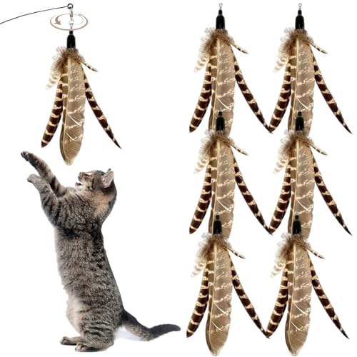 6pcs Katzenfedern Spielzeug, natürliche Vogelfedern, die Katzenstand auffüllen, interaktiver Spielzeug Ersatz für Katzen Kätzchen Kratztübung Indoorcat - 6pcs Katzenfedern Spielzeug, natürliche Vogelfedern, die Katzenstand auffüllen, interaktiver Spielzeug Ersatz für Katzen Kätzchen Kratztübung Indoorcat - von Upiulote