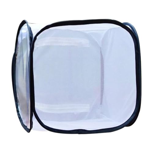 Insektenkäfignetz Net Garten Gemüse Schutzkeim transparenter Inkubator 30 * 30 cm Insektenkäfignetz Net Garten Gemüse Schutzkeim transparenter Inkubator 30 * 30 cm von Upiulote