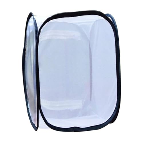 Insektenkäfignetznetz Garten Gemüse Schutzsamling transparenter Inkubator 40 * 40 * 60 cmgarden Gemüse Schutznetz Insektenkäfignetznetz Garten Gemüse Schutzsamling transparenter Inkubator 40 * 40 * 60 cmgarden Gemüse Schutznetz von Upiulote