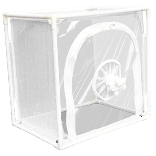 Insektenlebensraum Käfig Insekten Raupe Haus Netto Terrarium Mesh Cage Faltbares Popup mit Reißverschlussschutznetz Insektenlebensraum Käfig Insekten Raupe Haus Netto Terrarium Mesh Cage Faltbares Popup mit Reißverschlussschutznetz von Upiulote