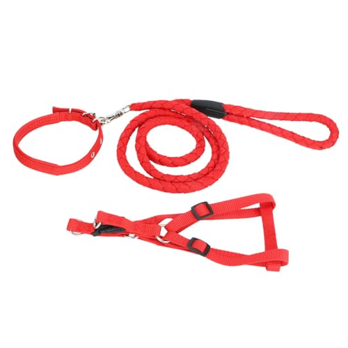 Hundeleine, Lange Leine für Hunde, kompaktes und zartes Nylonmaterial mit glatter Oberfläche, Lange Hundeleine für das Training beim Spazierengehen Hundeleine, Lange Leine für Hunde, kompaktes und zartes Nylonmaterial mit glatter Oberfläche, Lange Hundeleine für das Training beim Spazierengehen von Uplory