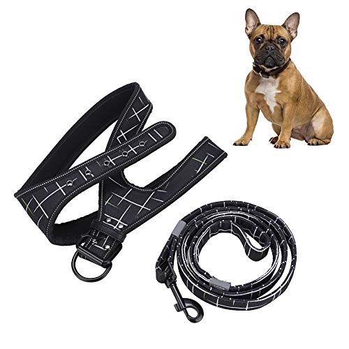 Hundeleine, Lange Leine für Hunde, reflektierend, überzogen, Overall-Clipping, Oxford-Stoff, Neopren, Lange Hundeleine für kleine Hunde Hundeleine, Lange Leine für Hunde, reflektierend, überzogen, Overall-Clipping, Oxford-Stoff, Neopren, Lange Hundeleine für kleine Hunde von Uplory