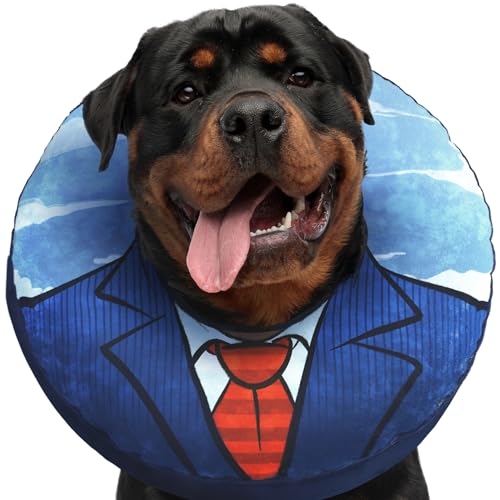 UPPYS Großer Hund Donut Halsband - Aufblasbare Hundekegel Alternative für Nach Operationen Erholung Donut Hundekegel für Große Hunde Aufblasbare Hundehalsbänder für Nach Operationen Donut Kegel für UPPYS Großer Hund Donut Halsband - Aufblasbare Hundekegel Alternative für Nach Operationen Erholung Donut Hundekegel für Große Hunde Aufblasbare Hundehalsbänder für Nach Operationen Donut Kegel für von Uppys