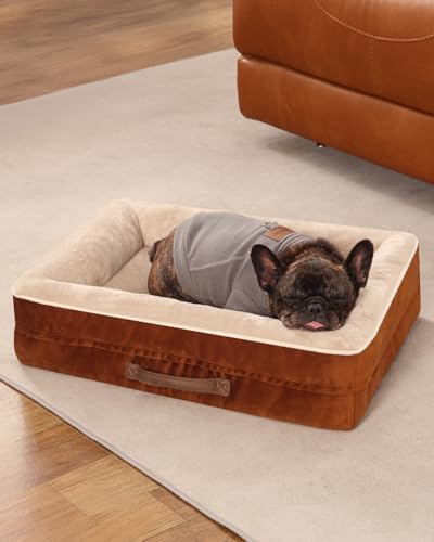 Upvilla Orthopädisches Hundebett mittelgroße Hunde, Hundekorb Waschbar mit Eierförmiger Kistenschaum，Wasserdicht Hundesofa mit rutschfeste Unterseite und Vierseitiges Kissen (Braun, 61x46x15cm) von Upvilla