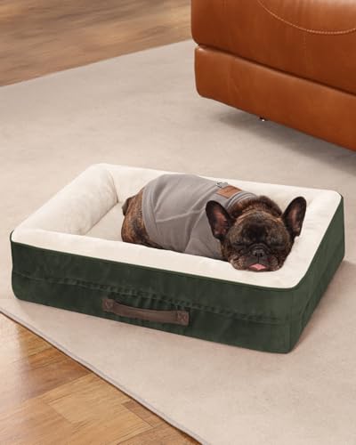 Upvilla Orthopädisches Hundebett mittelgroße Hunde, Hundekorb Waschbar mit Eierförmiger Kistenschaum，Wasserdicht Hundesofa mit rutschfeste Unterseite und Vierseitiges Kissen (Oliv, 61x46x15cm) von Upvilla