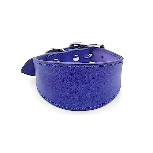 Leder-Hundehalsband, weich gepolstert, für Whippets, Salukis, Windhunde, große Rassen Leder-Hundehalsband, weich gepolstert, für Whippets, Salukis, Windhunde, große Rassen von Uqezagpa