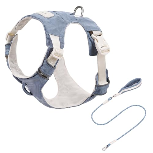 Mehrzweck-Hundegeschirr und Leine, Set mit weicher Polsterung, reflektierendes Design für kleine bis große Rassen, Outdoor-Aktivitäten, Hundegeschirr Mehrzweck-Hundegeschirr und Leine, Set mit weicher Polsterung, reflektierendes Design für kleine bis große Rassen, Outdoor-Aktivitäten, Hundegeschirr von Uqezagpa