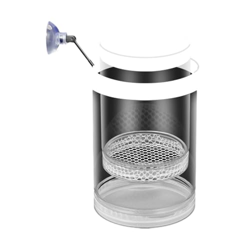 Schwimmende Isolationskammer für Aquarien mit belüftetem Netz, Brutkasten für Clownfische, Frittieren und Garnelen, Fisch-Isolationsbox Schwimmende Isolationskammer für Aquarien mit belüftetem Netz, Brutkasten für Clownfische, Frittieren und Garnelen, Fisch-Isolationsbox von Uqezagpa