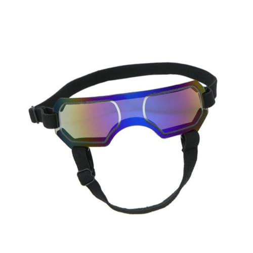 Uqezagpa Bunte Haustier-Sonnenbrille, coole Tierbrille, schöne modische Haustier-Sonnenbrille für kleine Hunde Uqezagpa Bunte Haustier-Sonnenbrille, coole Tierbrille, schöne modische Haustier-Sonnenbrille für kleine Hunde von Uqezagpa