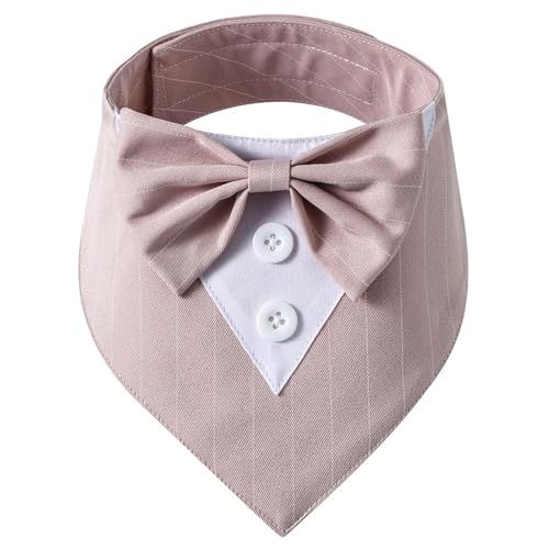 Uqezagpa Elegantes Halsband für Hunde und Katzen, mit Fliege, Halstuch, Anzugkragen, Halskette, Halsband für große Mädchen Uqezagpa Elegantes Halsband für Hunde und Katzen, mit Fliege, Halstuch, Anzugkragen, Halskette, Halsband für große Mädchen von Uqezagpa
