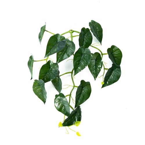 Uqezagpa Fischpflanzen-Saugnapf, Laubbeet, Unterwasser-Fischblatt-Ruheunterlage, Laichboden für Fischgarnelen Uqezagpa Fischpflanzen-Saugnapf, Laubbeet, Unterwasser-Fischblatt-Ruheunterlage, Laichboden für Fischgarnelen von Uqezagpa