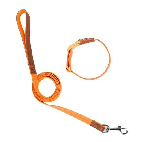 Uqezagpa Hundehalsband, Leine zum Spazierengehen, Laufen, langes Haustier, starkes Training, Spazierengehen, Schwimmen Uqezagpa Hundehalsband, Leine zum Spazierengehen, Laufen, langes Haustier, starkes Training, Spazierengehen, Schwimmen von Uqezagpa
