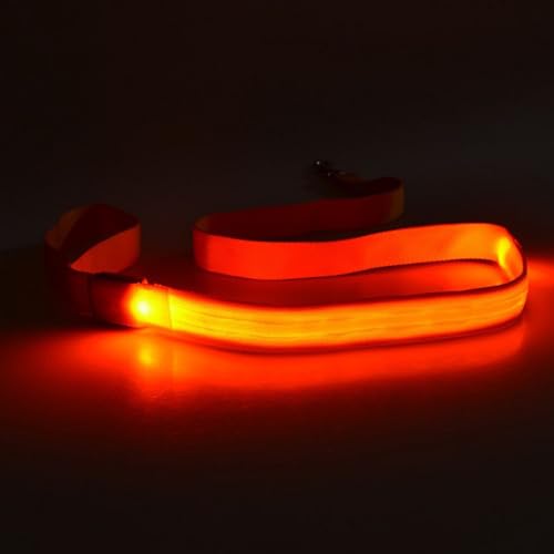 Uqezagpa LED-Hundeleine, wiederaufladbar, wasserdicht, Nylon, mit gepolstertem Griff, für nächtliche Spaziergänge, leuchtet im Dunkeln, 4 Stück Uqezagpa LED-Hundeleine, wiederaufladbar, wasserdicht, Nylon, mit gepolstertem Griff, für nächtliche Spaziergänge, leuchtet im Dunkeln, 4 Stück von Uqezagpa