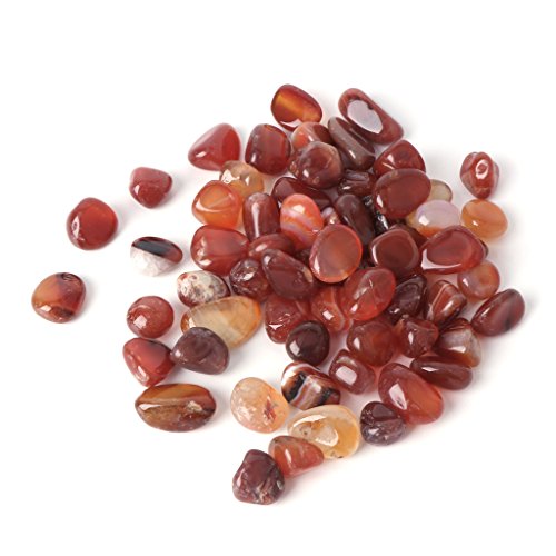 Uqezagpa Natursteine Aquarien Deko-Kies 0,1 kg kleine Gartenerde für Aquarien Vase Uqezagpa Natursteine Aquarien Deko-Kies 0,1 kg kleine Gartenerde für Aquarien Vase von Uqezagpa