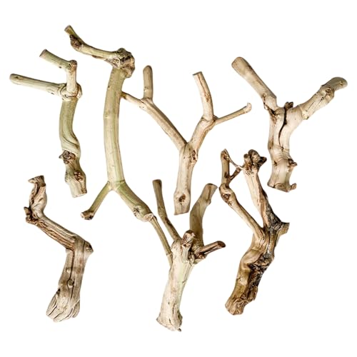 Uqezagpa Reptilien-Höhle, Stamm, Terrarien, Höhle, natürlich, ästhetisch, Kletterdekor, Spielzeug Uqezagpa Reptilien-Höhle, Stamm, Terrarien, Höhle, natürlich, ästhetisch, Kletterdekor, Spielzeug von Uqezagpa