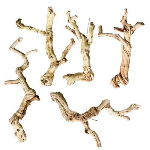 Uqezagpa Reptilien-Höhle, Stamm, Terrarien, Höhle, natürlich, ästhetisch, Kletterdekor, Spielzeug Uqezagpa Reptilien-Höhle, Stamm, Terrarien, Höhle, natürlich, ästhetisch, Kletterdekor, Spielzeug von Uqezagpa