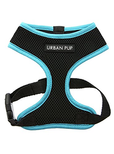 UrbanPup Active Mesh Hundegeschirr, Größe M, Brustumfang: 38 cm, Neonblau von UrbanPup