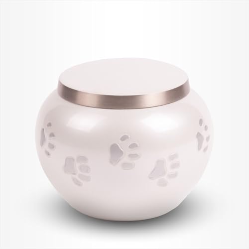 Tiere Urne Hund Katze Mittel 900 ml Weiß Silber Pfoten Glanz - Tiere Urne für Asche Einäscherung - Urne Hund - Urne Katze Tiere Urne Hund Katze Mittel 900 ml Weiß Silber Pfoten Glanz - Tiere Urne für Asche Einäscherung - Urne Hund - Urne Katze von Urn Store